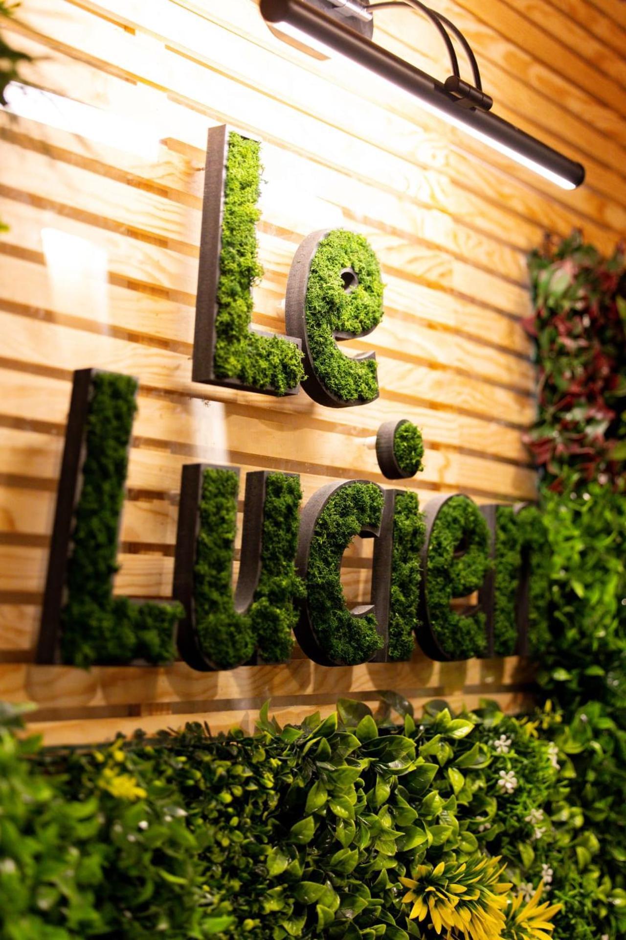 Le Lucien Eco-Appart'Hotel - Angouleme - Centre - Wifi - Parking Prive - Classe 4 Etoiles Exteriér fotografie