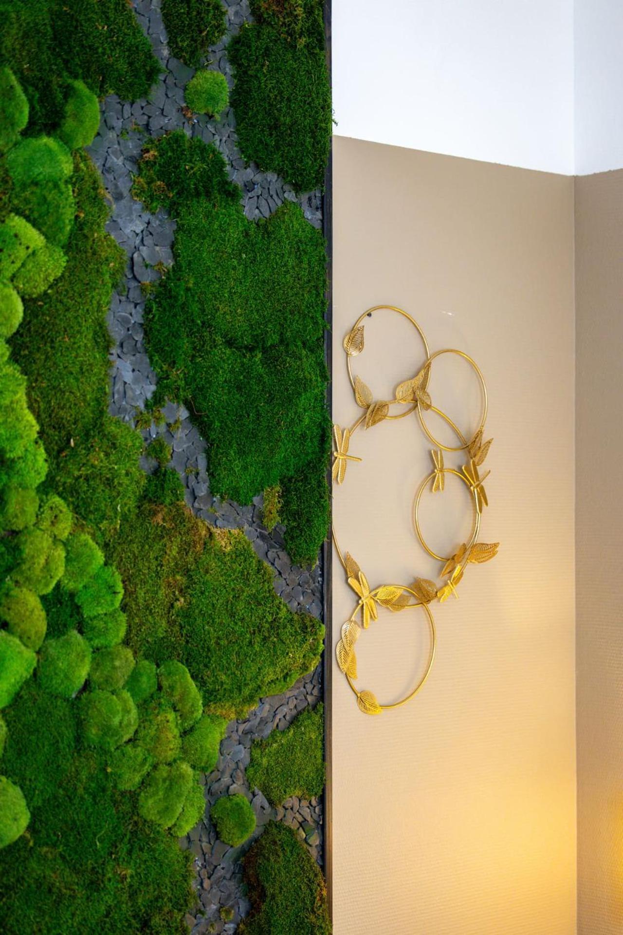 Le Lucien Eco-Appart'Hotel - Angouleme - Centre - Wifi - Parking Prive - Classe 4 Etoiles Exteriér fotografie